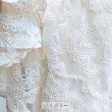 画像9: Chez moi レースカーテン Arabesque PF (9)
